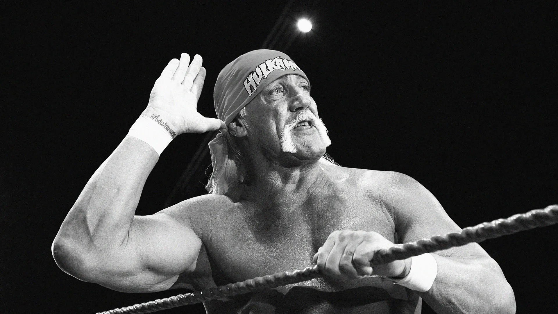 शोक में डूबा WWE, 71 साल की उम्र में Hulk Hogan की मौत शोक में डूबा WWE, 71 साल की उम्र में Hulk Hogan की मौत