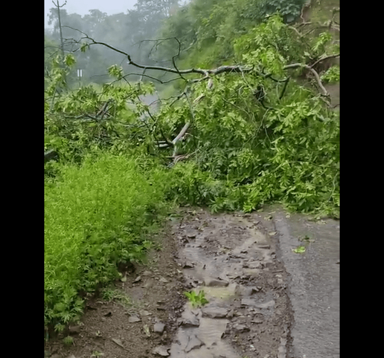 पंचकूला के मोरनी में भुस्खलन और लैंडस्लाइड से बंद हुआ रास्ता